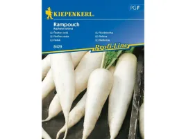 rzodkiewka-rampouch-biala-podluzna-nasiona-kiepenkerl