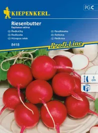 rzodkiewka-riesenbutter-nasiona-kiepenkerl-duza-rzodkiewka