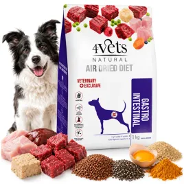 4vets-natural-gastro-intestinal-karma-suszona-dla-psa-1kg