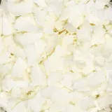 chipsy-kokosowe-250g-kraj-pochodzenia-sri-lanka