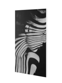 grzejnik-z-obrazem-art-big49-545x1570