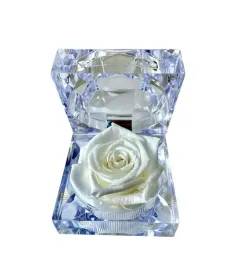 wieczna-roza-w-eleganckiej-szkatulce-white
