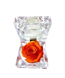 wieczna-roza-w-eleganckiej-szkatulce-orange