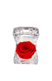 wieczna-roza-w-eleganckiej-szkatulce-red