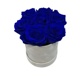 flower-box-prawdziwe-wieczne-roze-dark-blue-7-sztuk