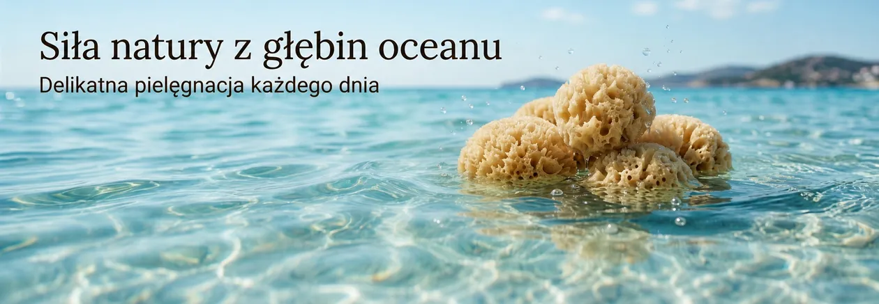 undefined_undefined