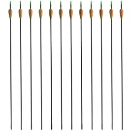 strzaly-z-wlokna-szklanego-30-06-cm-x12