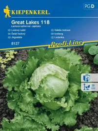 salata-lodowa-krucha-great-lakes-nasiona-salaty-kiepenkerl