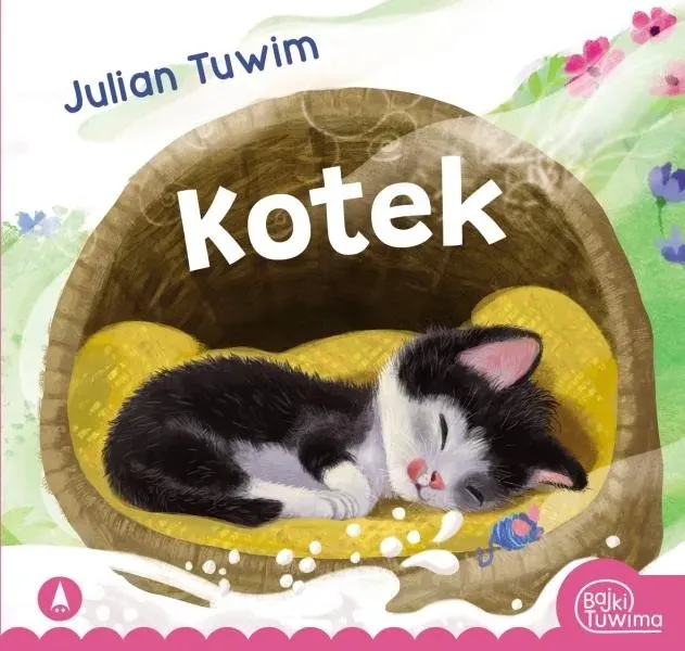 kotek