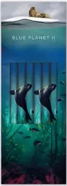 olowek-ozdobny-sea-lion-6szt