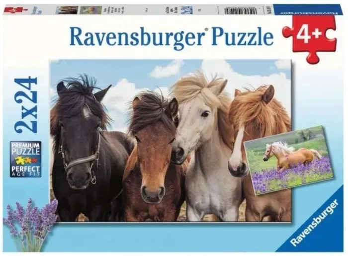 puzzle-2x24-konie-stan-nowy