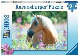 puzzle-xxl-300-kon
