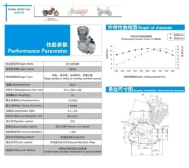 silnik-cb-250ccm-zs169fmm-manual-5-biegow-zongshen
