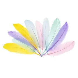 piorka-gesie-15-20cm-pastelowe