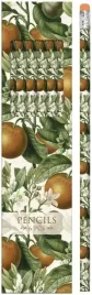 olowki-ozdobne-stpen25-pomarancza-zestaw-6-sztuk