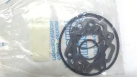 uszczelki-cylindra-polini-minarelli-dl3-benelli-devil-spring-malaguti-mrx