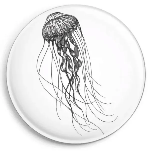 magnes-meduza