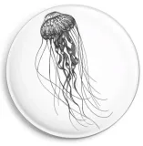 magnes-meduza