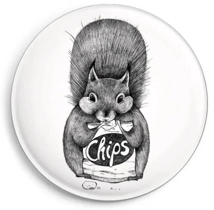 magnes-wiewiorka-z-chipsami-stan-nowy