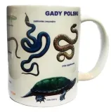 kubek-gady-soliton