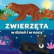kapitan-nauka-harmonijka-zwierzeta-w-dzien-i-w