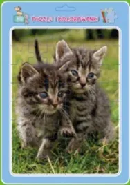 puzzle-w-ramce-z-kolorowanka-koty
