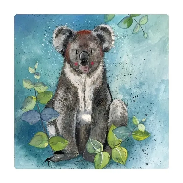 magnes-fm209-koala