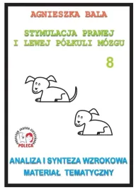 stymulacja-prawej-i-lewej-polkuli-8-analiza