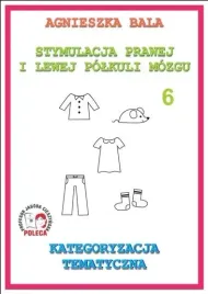 stymulacja-prawej-i-lewej-polkuli-6-kategoryzacja