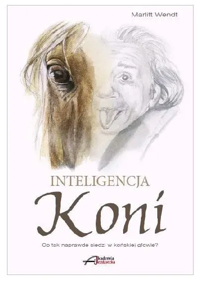 inteligencja-koni-stan-nowy