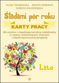 sladami-por-roku-lato