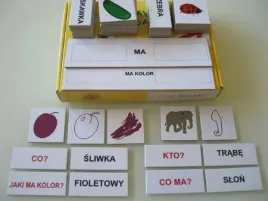 zestaw-dydaktyczny-co-ma-jaki-ma-kolor