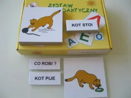 zestaw-dydaktyczny-co-robi-kot