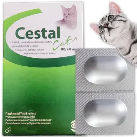 srodek-na-robaki-kota-2-sztuki-tabletki-cestal