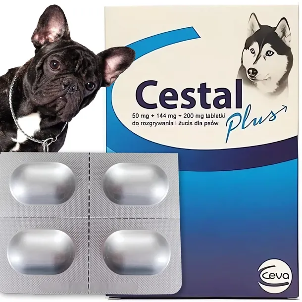 Na Odrobaczanie Pasożyty Robaki PSA 4 tab. CESTAL