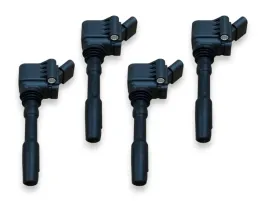 zaplonniki-cewki-06h-905-110-h-do-seat-bentley-skoda-vw-1-8-2-0-3-0-2-9-4-0