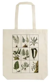 torba-bawelniana-stbag22-paprocie-shopperka