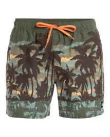 kapielowki-meskie-quiksilver-everyday-straight-volley-15-grape-leaf-s