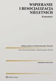 wspieranie-i-resocjalizacja-nieletnich-komentarz