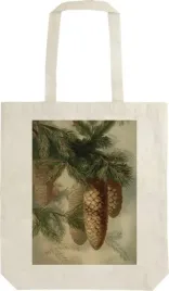 torba-bawelniana-stbag-56-szyszki-jodly-swieta-nar
