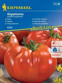 pomidor-gigantoma-gigantyczne-pomidory-nasiona-kiepenkerl