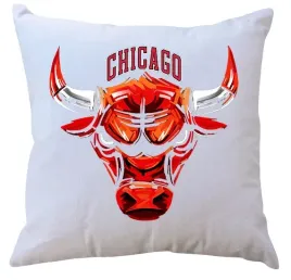 poduszka-z-wkladem-chicago-bulls-producent