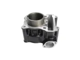 cylinder-srk125s-srv125-numer-katalogowy-czesci-13901454by01-qj