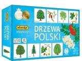 drzewa-polski