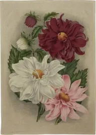 recznik-kuchenny-dalia-fioletowa