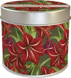 zapachowa-swieczka-jablko-swieta-bozego-narodzenia