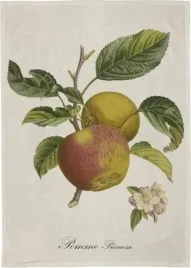 recznik-kuchenny-jablon