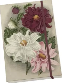 notatnik-ozdobny-a5-stnote-130-dalia-fioletowa
