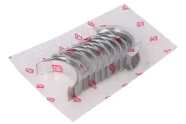 panewki-gl-ford-20tdci-std-ne-6021070000