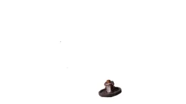 termostat-ford-zetec-14-16-ford-1712228